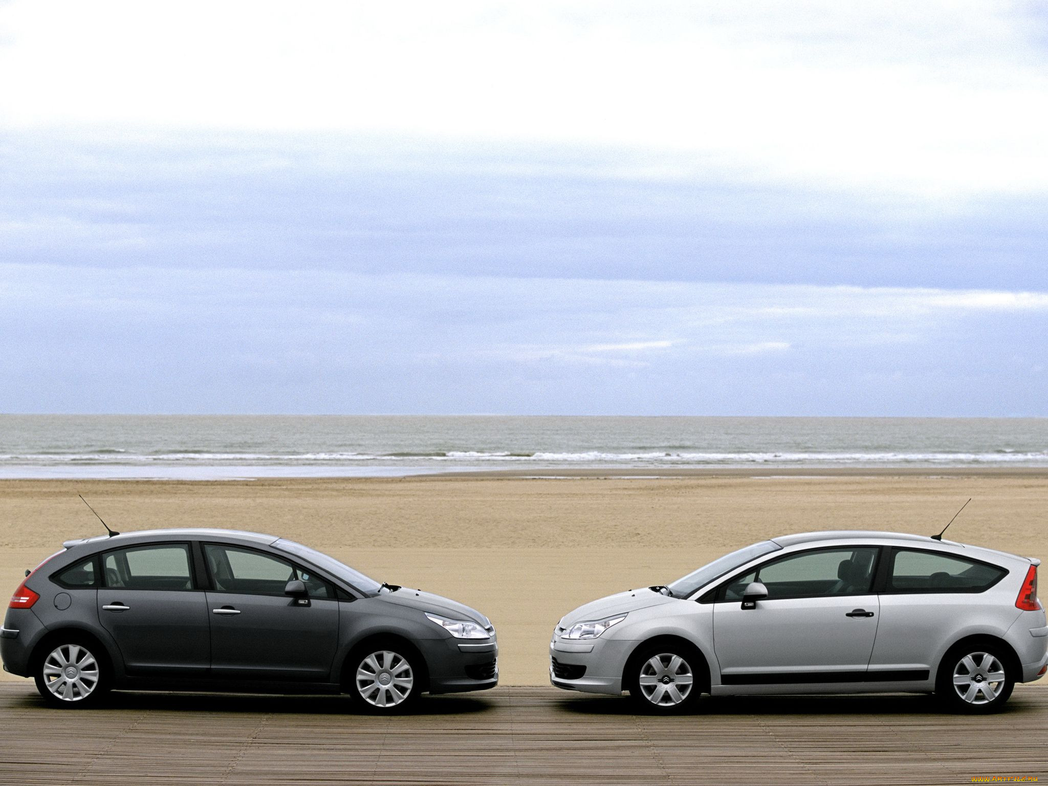 , citroen
